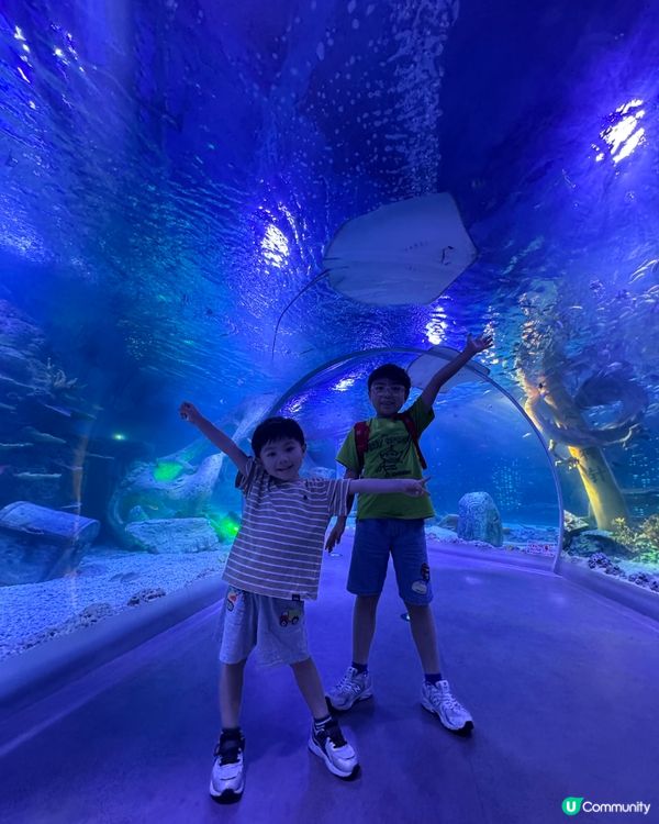 深圳2D1N親子遊推介💕超級飛俠親子房+水族館遊樂場😍