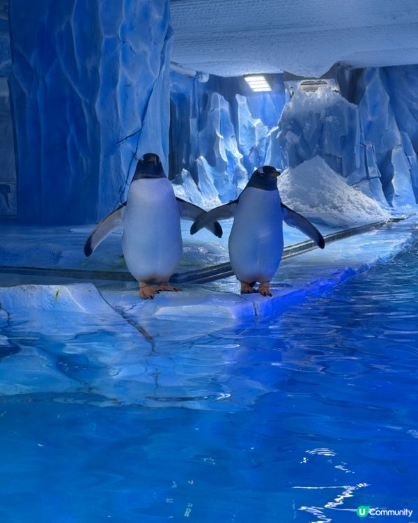 深圳2D1N親子遊推介💕超級飛俠親子房+水族館遊樂場😍