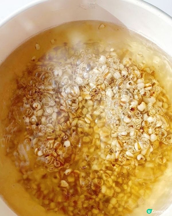 濕氣走晒！薏米檸檬水🍋，飲出健康美！✨