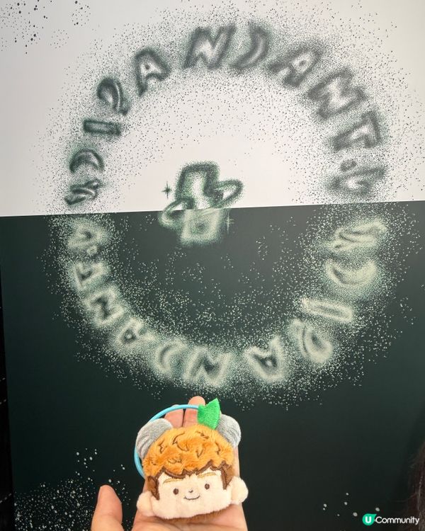 idpt五周年限定pop-up store