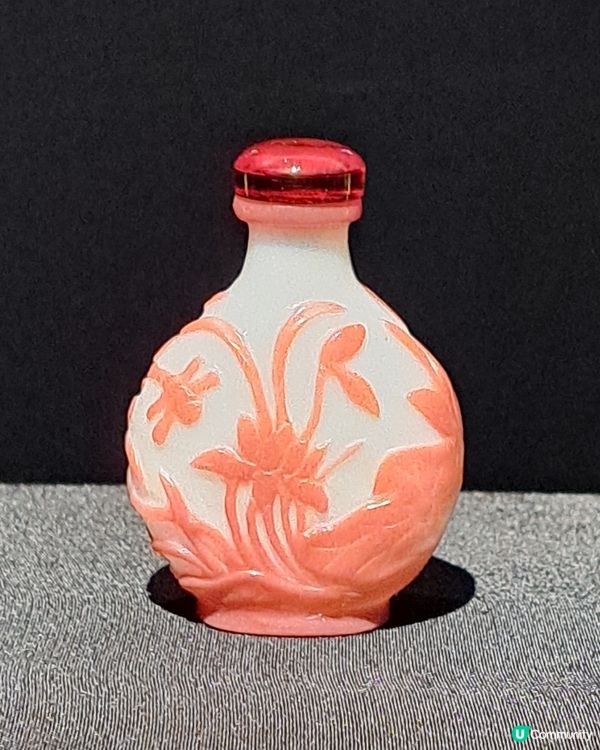 鼻壺精品眼花繚亂🤩@香港藝術館