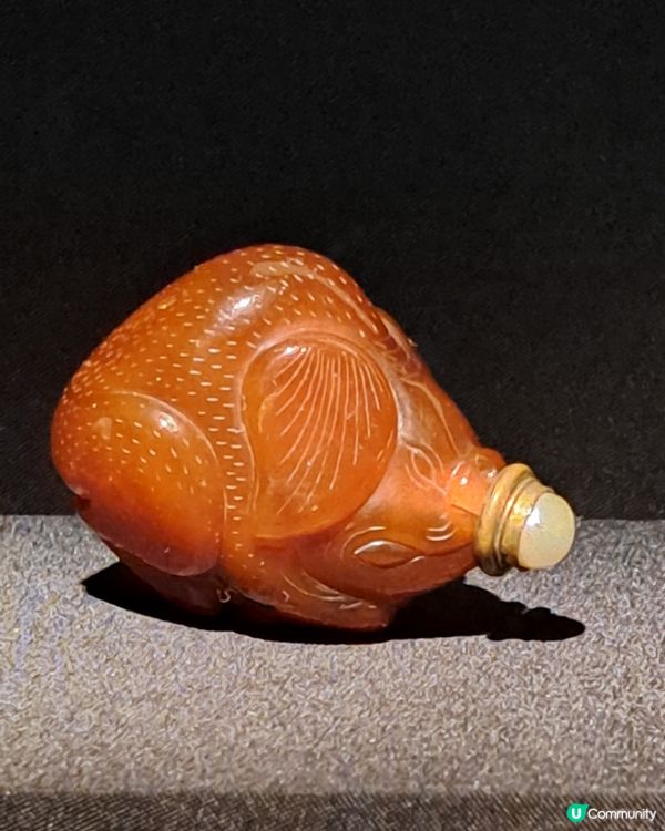 鼻壺精品眼花繚亂🤩@香港藝術館