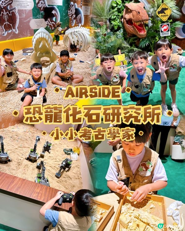 小小恐龍迷出動🦖！考古探險記！