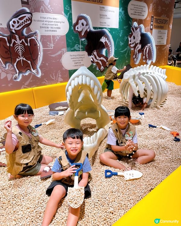 小小恐龍迷出動🦖！考古探險記！