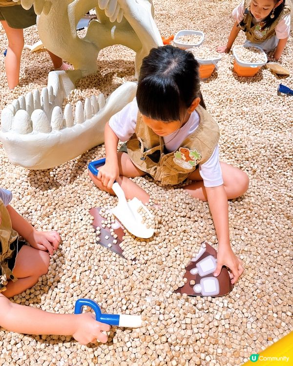 小小恐龍迷出動🦖！考古探險記！