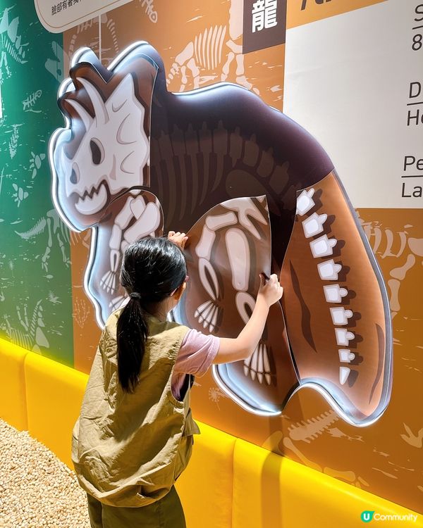 小小恐龍迷出動🦖！考古探險記！