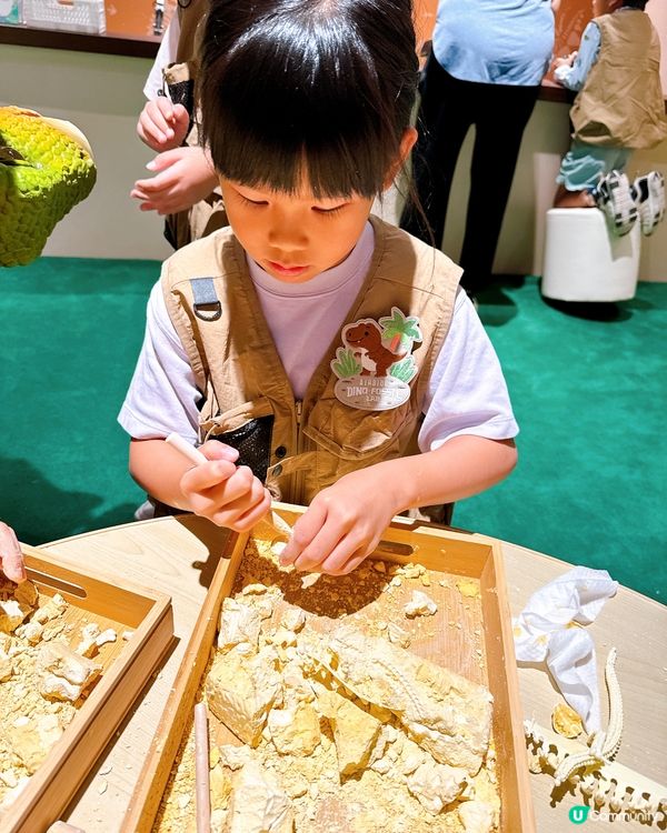 小小恐龍迷出動🦖！考古探險記！