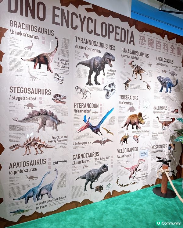 小小恐龍迷出動🦖！考古探險記！