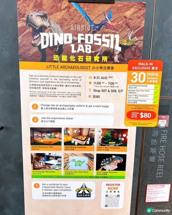 小小恐龍迷出動🦖！考古探險記！