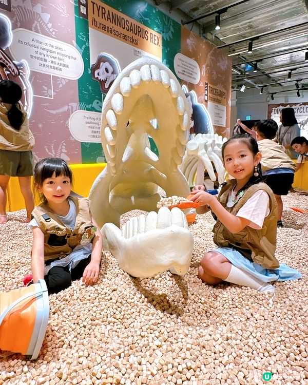 小小考古學家出動！🦖 發掘恐龍化石！🔍