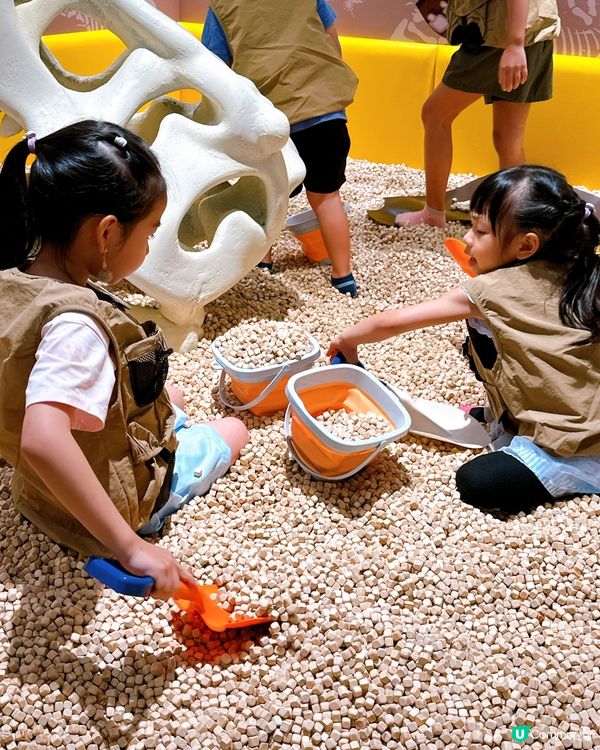 小小考古學家出動！🦖 發掘恐龍化石！🔍