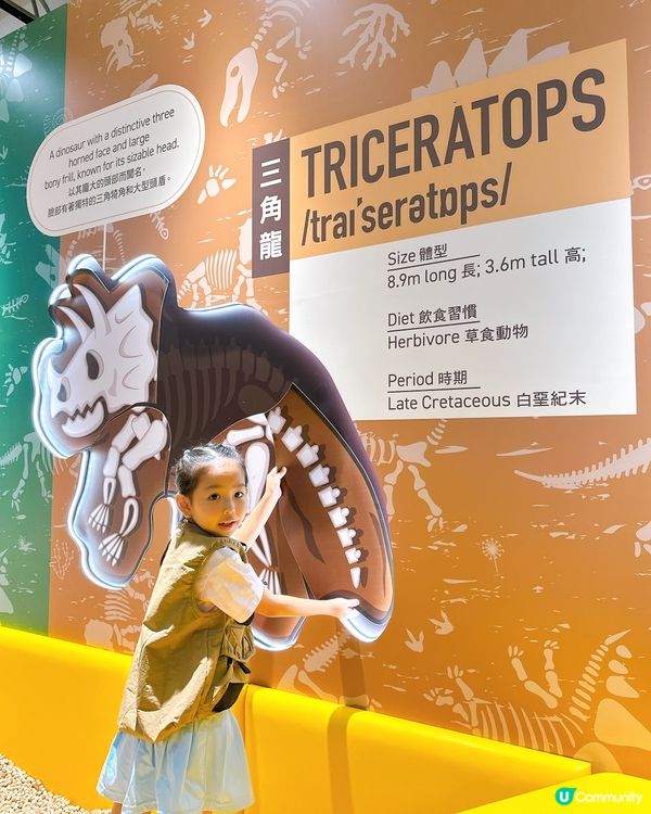 小小考古學家出動！🦖 發掘恐龍化石！🔍