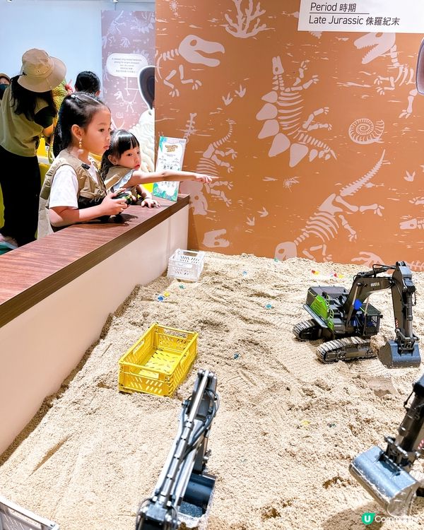 小小考古學家出動！🦖 發掘恐龍化石！🔍