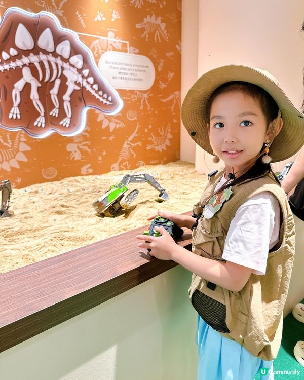 小小考古學家出動！🦖 發掘恐龍化石！🔍