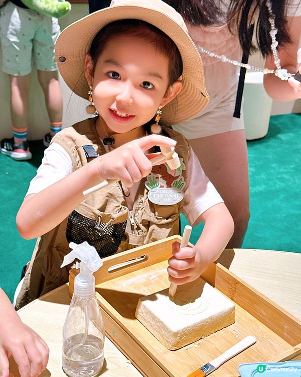 小小考古學家出動！🦖 發掘恐龍化石！🔍
