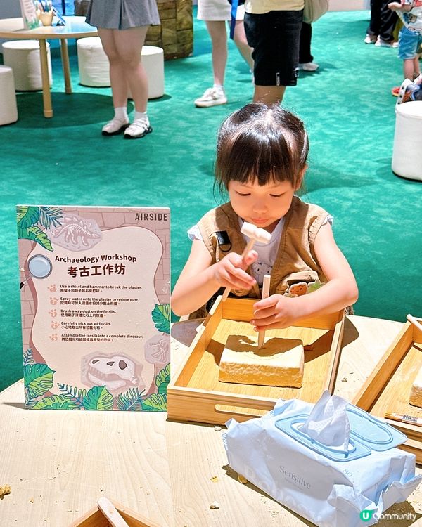 小小考古學家出動！🦖 發掘恐龍化石！🔍