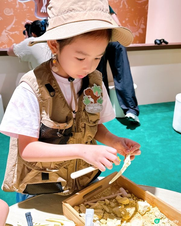 小小考古學家出動！🦖 發掘恐龍化石！🔍