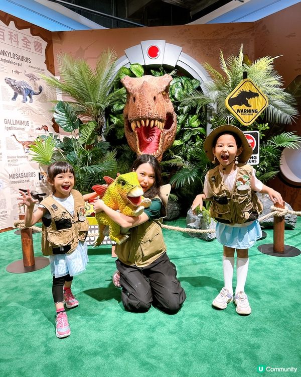 小小考古學家出動！🦖 發掘恐龍化石！🔍