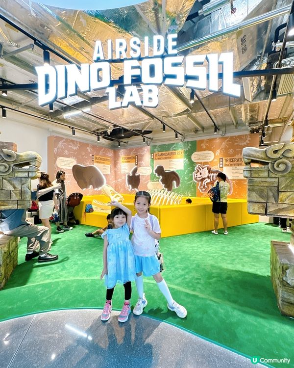 小小考古學家出動！🦖 發掘恐龍化石！🔍