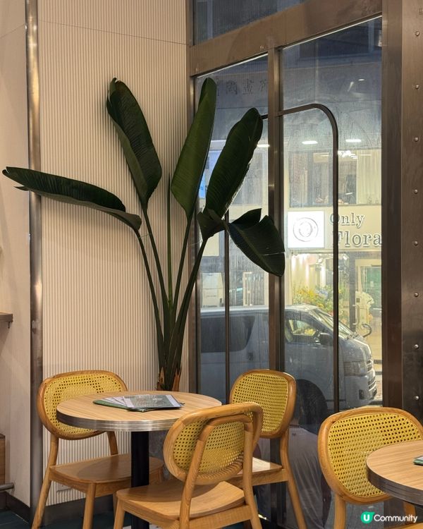 中環美食探險記！木系綠植餐廳超清新！食物健康又好味😋！