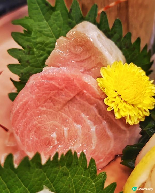 好Feel👍高CP🏮居酒屋