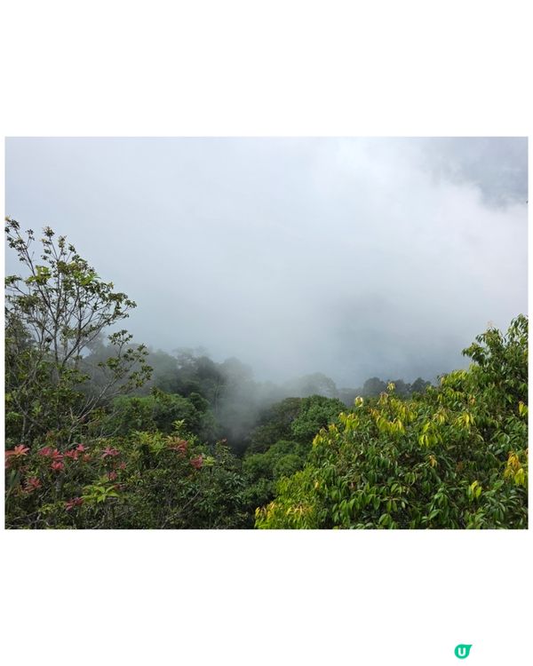 檳城升旗山🌲！吸收芬多精，勁舒服！⛰️