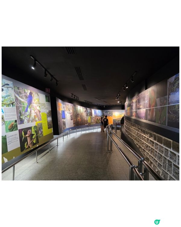 檳城升旗山🌲！吸收芬多精，勁舒服！⛰️