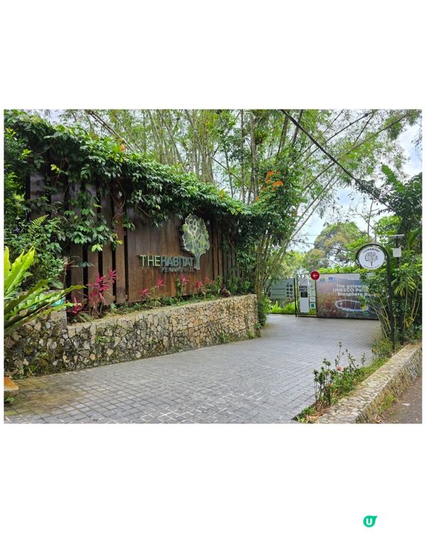 檳城升旗山🌲！吸收芬多精，勁舒服！⛰️