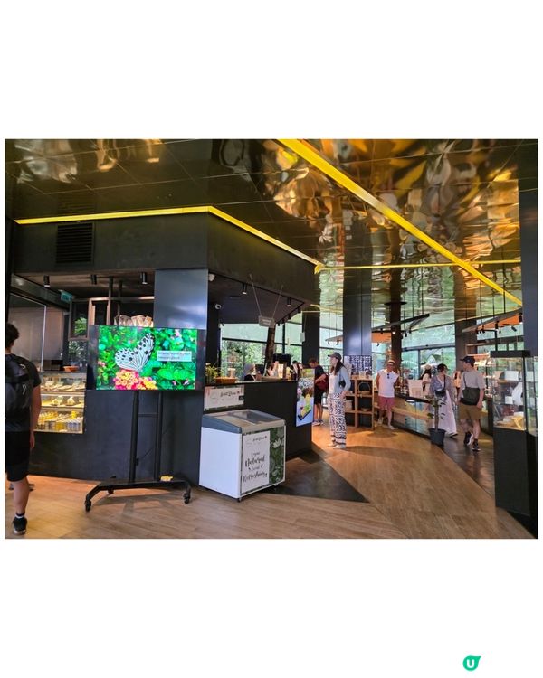 檳城升旗山🌲！吸收芬多精，勁舒服！⛰️