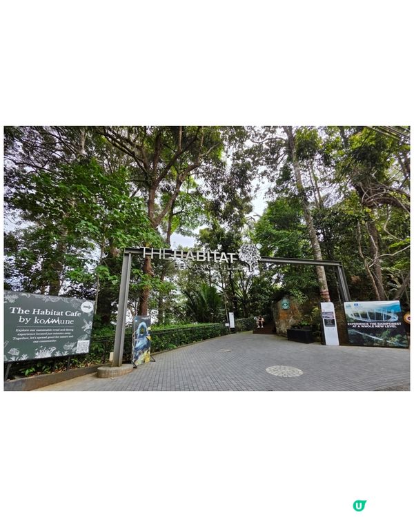 檳城升旗山🌲！吸收芬多精，勁舒服！⛰️