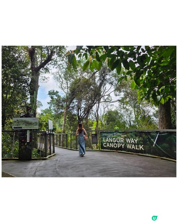 檳城升旗山🌲！吸收芬多精，勁舒服！⛰️