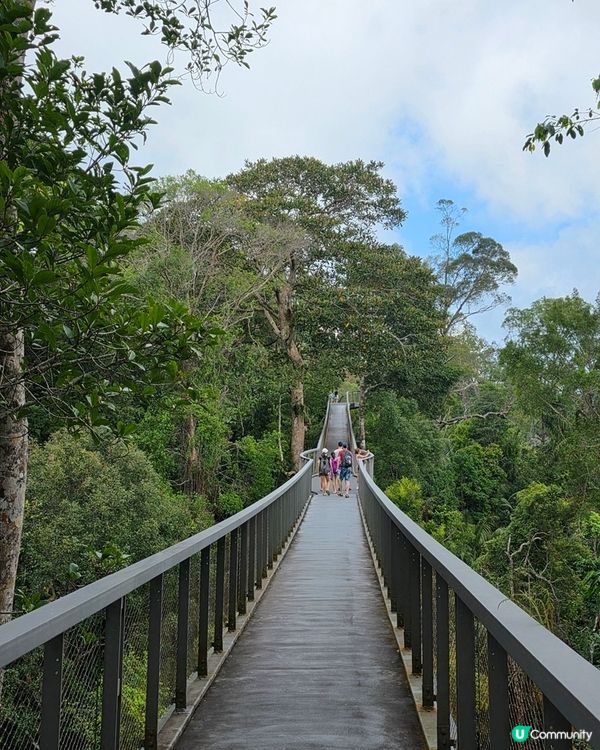 檳城升旗山🌲！吸收芬多精，勁舒服！⛰️