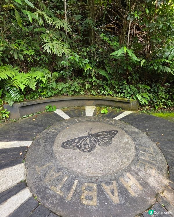 檳城升旗山🌲！吸收芬多精，勁舒服！⛰️