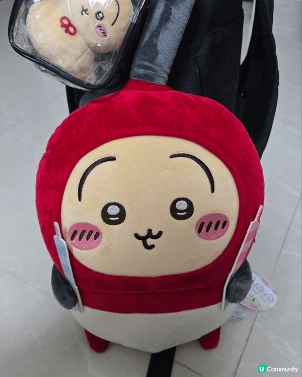 我鍾意Chiikawa所有角色，係因為每一隻都有自己一套好獨...