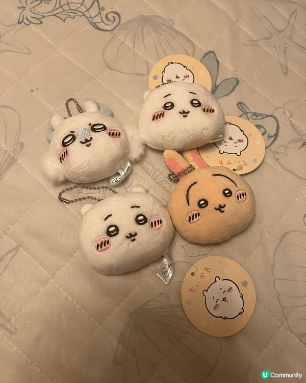 我鍾意Chiikawa所有角色，係因為每一隻都有自己一套好獨...