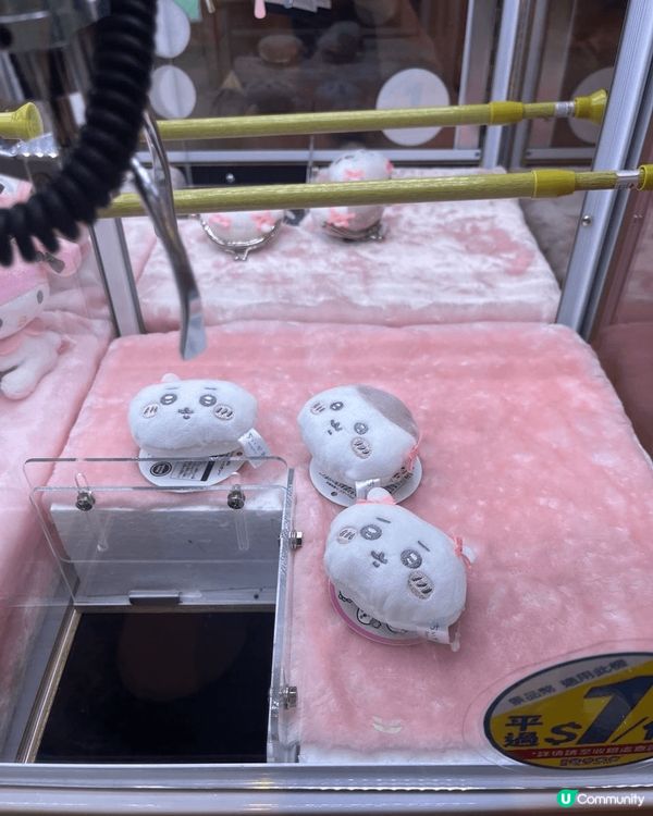 我鍾意Chiikawa所有角色，係因為每一隻都有自己一套好獨...