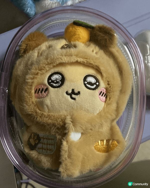 相片中有不同usagi收藏，與帶它們進入陪伴自己日常生活，與...