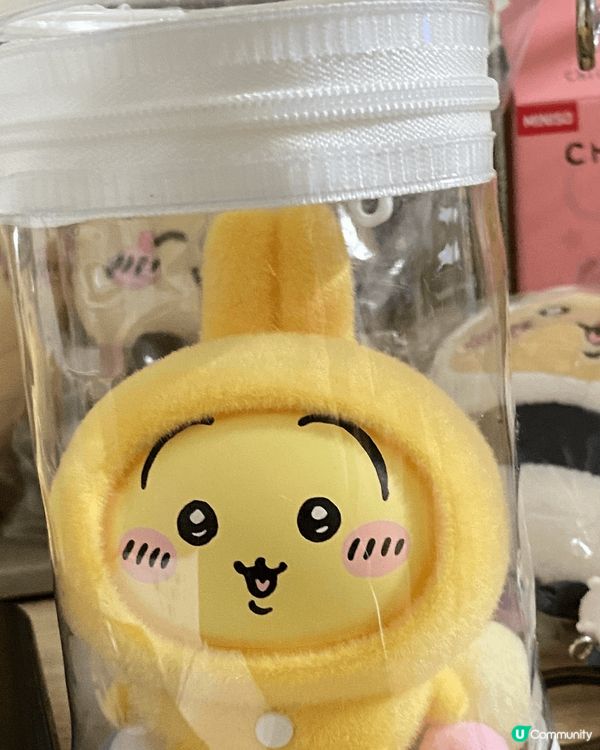 相片中有不同usagi收藏，與帶它們進入陪伴自己日常生活，與...