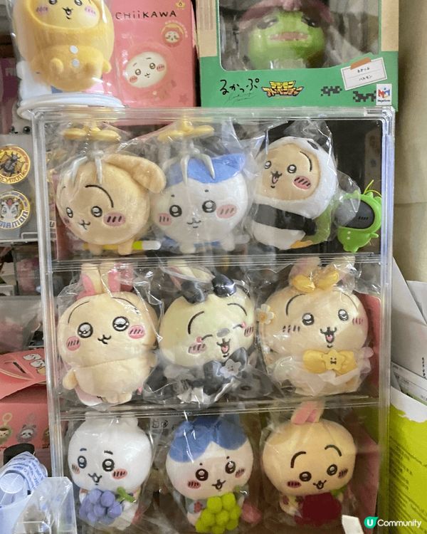 相片中有不同usagi收藏，與帶它們進入陪伴自己日常生活，與...