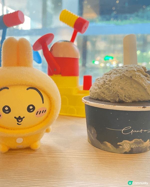 相片中有不同usagi收藏，與帶它們進入陪伴自己日常生活，與...