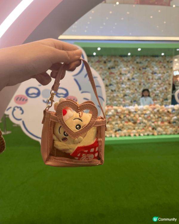 未睇chiikawa之前最鍾意usagi，因為一直以嚟都鍾意...