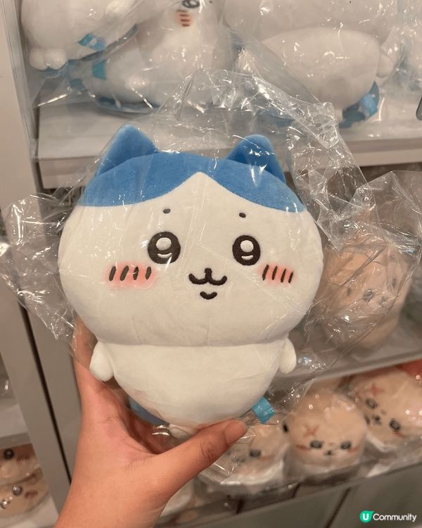 未睇chiikawa之前最鍾意usagi，因為一直以嚟都鍾意...