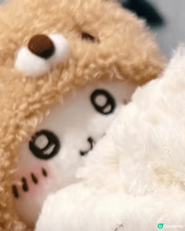 未睇chiikawa之前最鍾意usagi，因為一直以嚟都鍾意...