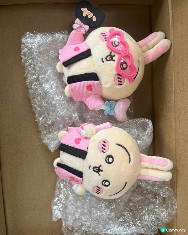 未睇chiikawa之前最鍾意usagi，因為一直以嚟都鍾意...