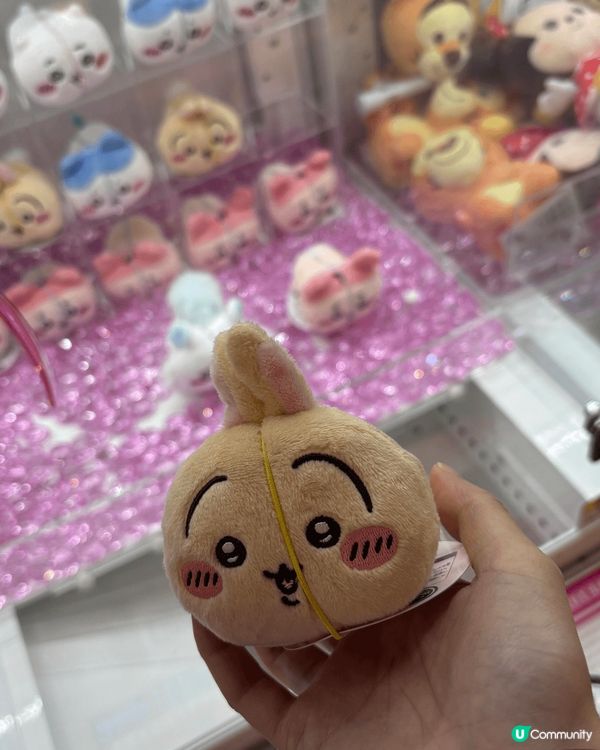 一開始香港未有好多地方可以買到chiikawa，自己學識咗日...