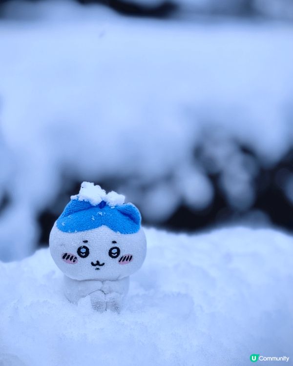 努力打工賺錢買到相機嘅小八，一定要帶住佢，周遊列國，遊世界，...