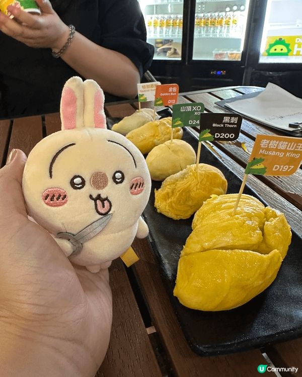 我最鍾意Usagi係佢心理強大！經常嘗試啲人地走必會做嘅嘢，...