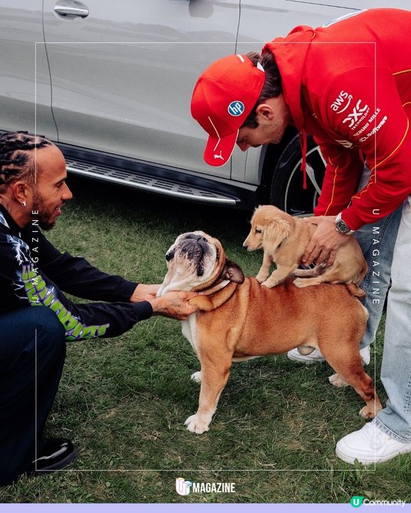 F1賽車手迎來休賽期！平日都在做什麼？帶狗狗相聚/與女友拍拖出海