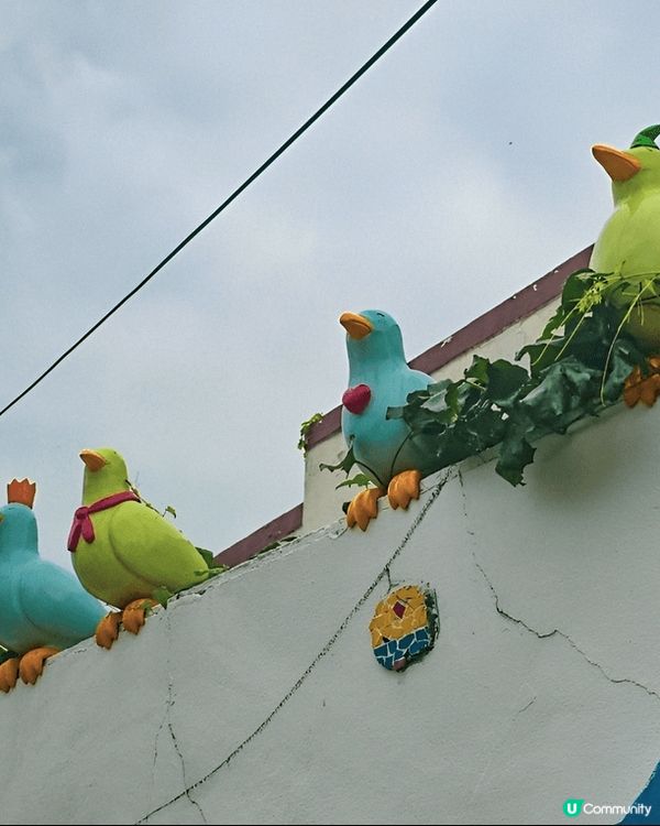 釜山統營嘅東皮郎壁畫村簡直係打卡控天堂！成條村好似七彩童話村...