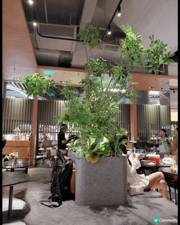 深圳福田星河COCO Park，最常到訪的商場之一，裡面有間...